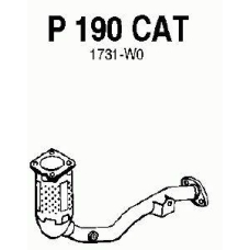 P190CAT FENNO Катализатор
