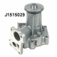 J1515029