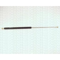 8710 2716 TRIDON Gas spring rear