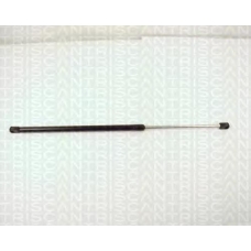 8710 11213 TRIDON Gas spring rear