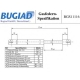 BGS11116