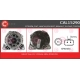 CAL15290
