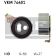 VKM 74601