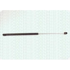 8710 2411 TRIDON Gas spring rear