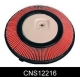 CNS12216