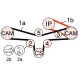 QBK634