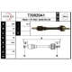 T39029A1