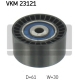 VKM 23121