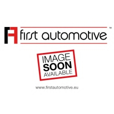 D21466 1A FIRST AUTOMOTIVE Топливный фильтр