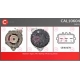 CAL10604AS