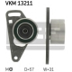 VKM 13211