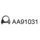AA91031