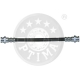BSL-755