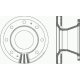 DSX1022.20