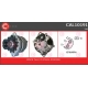 CAL10191