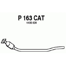 P163CAT FENNO Катализатор