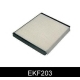 EKF203