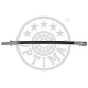 BSL-651