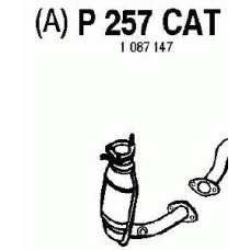 P257CAT FENNO Катализатор