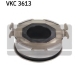 VKC 3613
