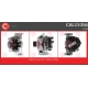 CAL15356
