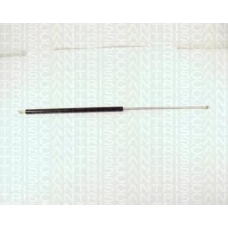 8710 12101 TRIDON Gas spring front