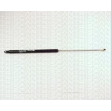 8710 2903 TRIDON Gas spring rear