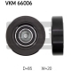 VKM 66006