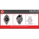 CAL40119