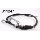 J11247