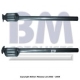 BM90250