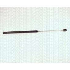 8710 2429 TRIDON Gas spring rear