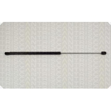 8710 38202 TRIDON Gas spring rear